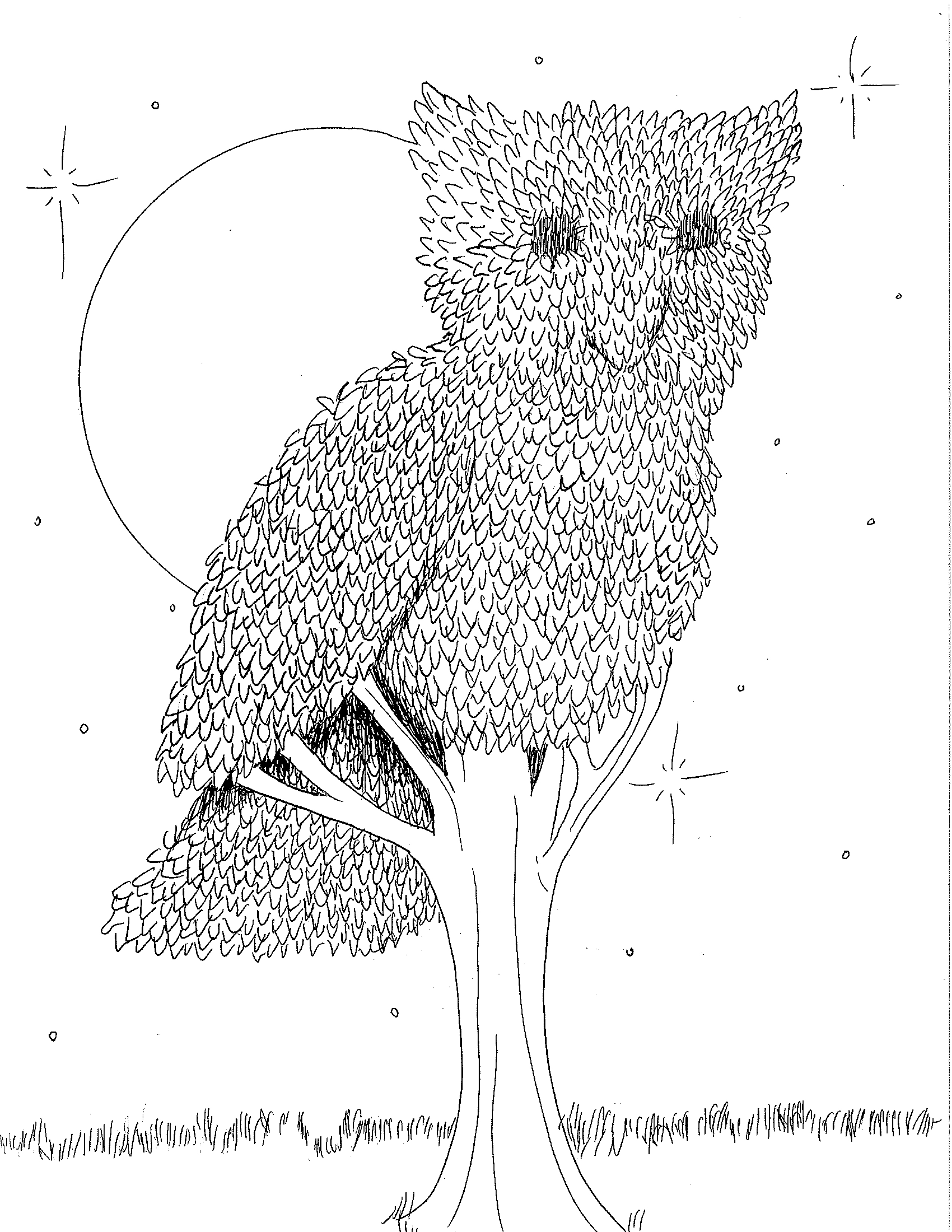 Night Gardener